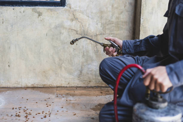 Best Pest Inspection Near Me  in Braselton, GA
