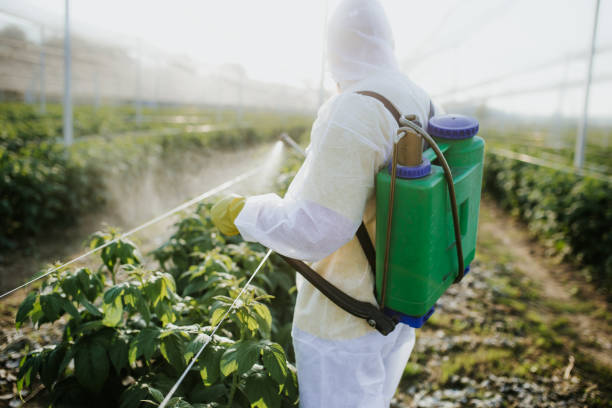 Best Wildlife Control Services  in Braselton, GA